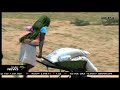 Zimbabwe S Economy Remains Vulnerable To Climate Change UNDP