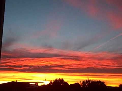 SOL LE WITT to eva hasse letter