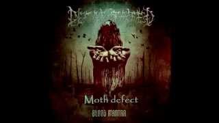 Decapitated - Moth defect (with lyrics)