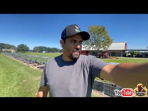 El Texano Farm Visita A Larry Romero Albany-Regular grey-Sweater Raptor 