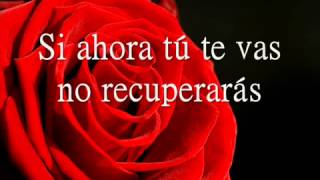 Luz Casal - Un año de amor