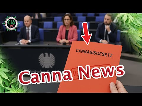 Canna News September 2025 - Germany, Switzerland, Google, Thailand, Netherlands, South Africa