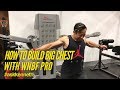 How To Build BIG Chest with WNBF Pro Kenneth Lo | #AskKenneth 中文對白