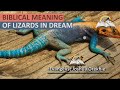 Biblical Meaning of LIZARDS in Dream I Find Out The Spiritual Meaning