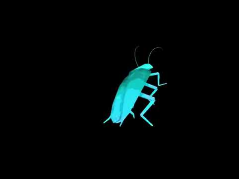 Rainbow cockroach dances to Daft Punk  Around the World 10 hours