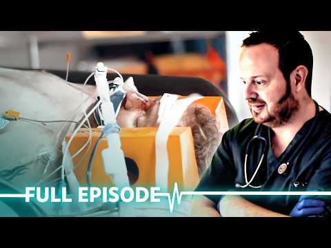 Husband Falls 20-Feet Through A Skylight | 999 Critical Condition S01 E02 (Full Episode)