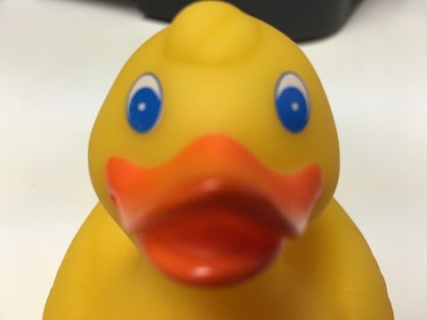 Botcon 2016 - Megatron's Rubber Duck