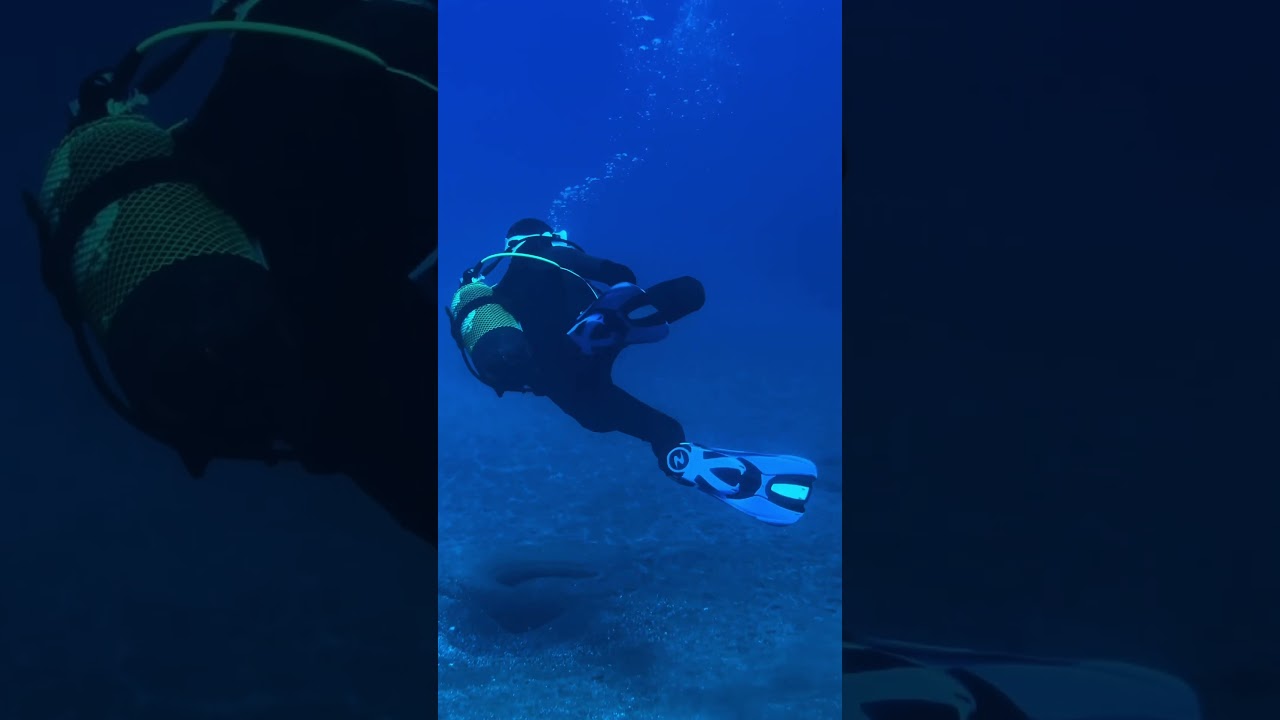 YouTube Short thumbnail