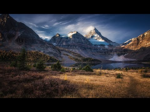 Fresh Code — Precious Moments (Intro Mix)