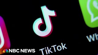 Senate poised to vote on potential TikTok ban