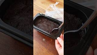 コクの塊！ 3年熟成させた手作り味噌は別物！しかも体にすごくいい！ #レシピ #料理