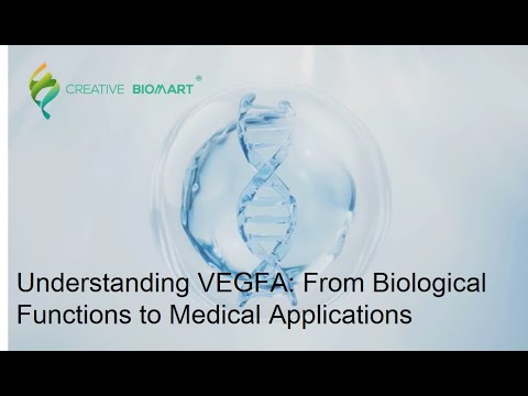 Understanding VEGFA: From Biological Functions to Medical Applications
