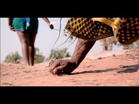 Lorna Real Love - Pakarimwa Official Video((dir by JEYKING Filmz))