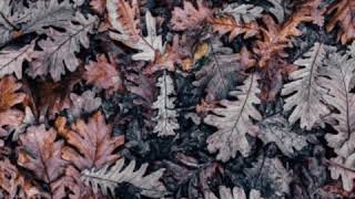 Download lagu Jeda.. mp3