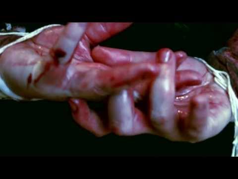 Face 2 Face — Trailer (Englisch)