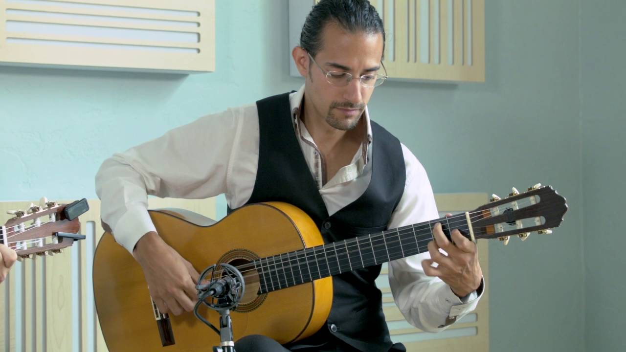Promotional video thumbnail 9 for Martin Metzger ~ Solo, Duo and Ensemble