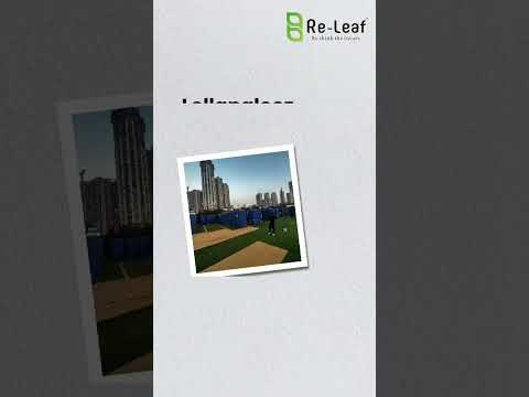 Vibration Analysis Services