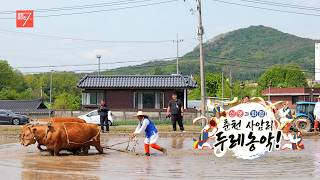 신명과 화합! 춘천 사암리 두레 농악 / 강원매거진7 / [화제 현장] / G1방송 / 260515