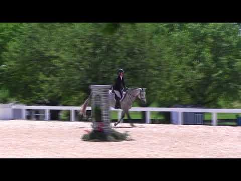 Video of GOLDEN GLOCK WS ridden by SCHUYLER RILEY from ShowNet!
