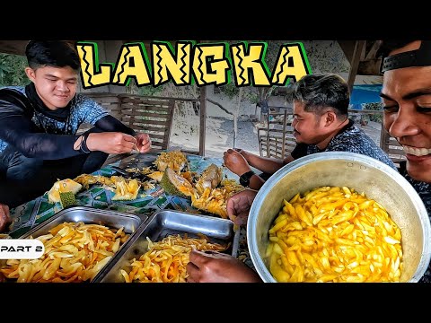 EP961-P2 - Jackfruit Harvest