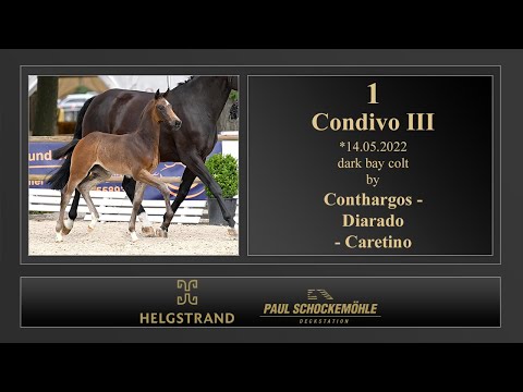 1 Condivo III by Conthargos - Diarado
