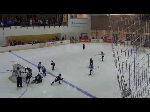 HC Vipers G BLACK – HC Viking G  0:9 (0:3 ; 0:6)  16.10.2017