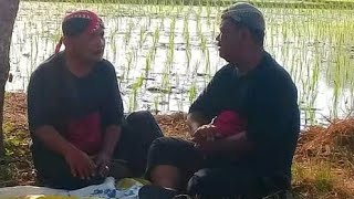 Download lagu 🔴WA TIRU WERUH SEJARAHE WAYANG🔴 LAWAKAN WA GANDUL Vs WA TIRU🔴 #lucu mp3 Download lagu 🔴WA TIRU WERUH SEJARAHE WAYANG🔴 LAWAKAN WA GANDUL Vs WA TIRU🔴 #lucu mp3