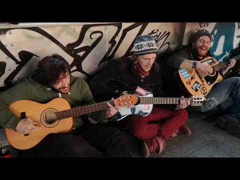 Taubenverschlag Dat grosset blauet