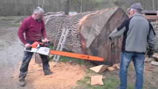 Stihl ms 880 150cm vs big oak log Stihl ms 880 150cm vs big oak log