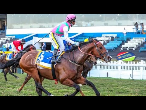 CHAMPIONS CUP 2021 (G1) | SOUTH AFRICA | JET DARK |