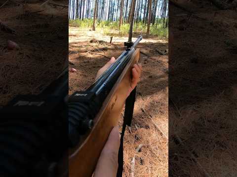 Pruebo Rifle Mendoza RM 100 BZ