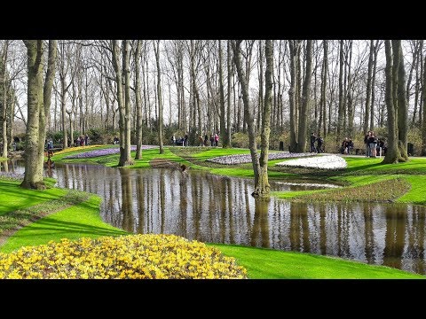 Keukenhof_Most Beautiful Spring Garden in the World...Must Watch