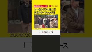 初夏の訪れ告げる「さっぽろライラックまつり」開幕 大通公園で約400本が満開
