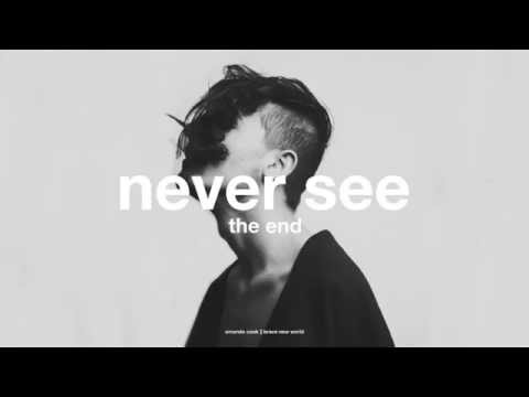 Never See The End - Amanda Cook