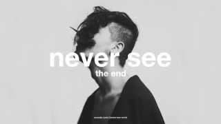Amanda Cook - Never See the End (Brave New World) Inc. Chords + Lyrics