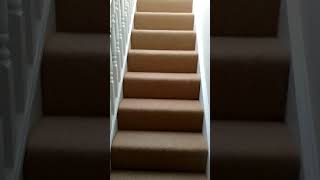 Album cover: Carpets