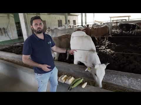 Planejamento e Gestão da Propriedade Rural