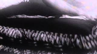 Obliterations - Scapegoat (Official Music Video)