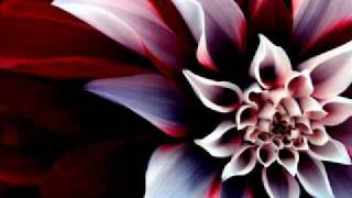 Chris Tomlin - Here I am To Worship