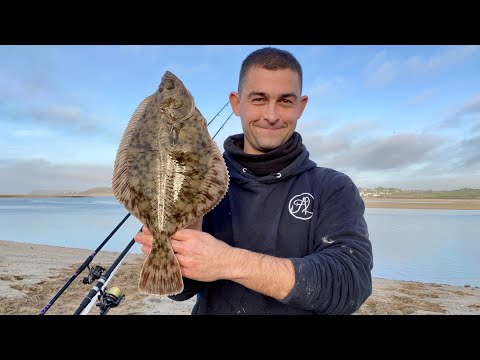 Vinter-havbars og skrubbe i England