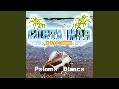 3-09 suave suavecito