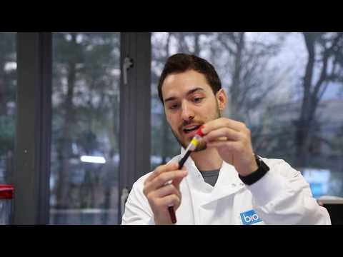 How does ELISA testing work - Biobest Laboratories