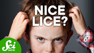 7 Things You Probably Don't Want to Know About Lice