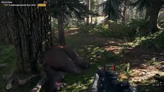 Far Cry 5- Clinical Study Get Undamaged Grizzly Bear Skin Location (Easy 2019)