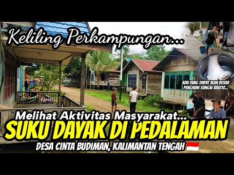 KELILING PERKAMPUNGAN, MELIHAT AKTIVITAS MASYARAKAT SUKU DAYAK DI PEDALAMAN KALIMANTAN TENGAH 🇮🇩