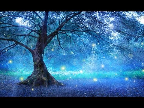 2 hours of peaceful, relaxing, nature instrumental music by Tim Janis