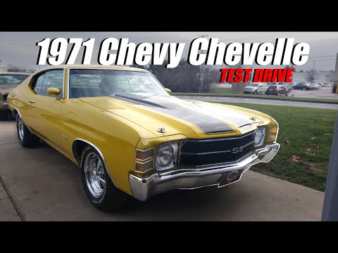 1971 Chevrolet Chevelle (CC-1550550) for sale in Plymouth, Michigan