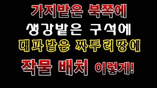 [텃밭농부.977]  가지. 생강. 대파 심을 자리는 이런곳에 배치하세요.