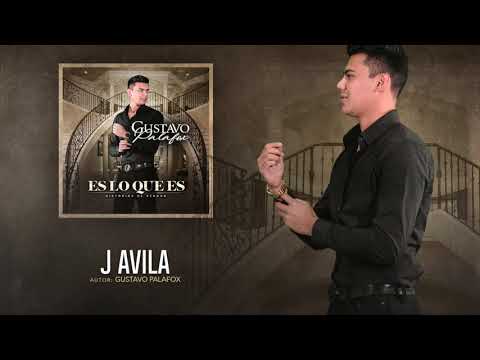 Gustavo Palafox - J Avila