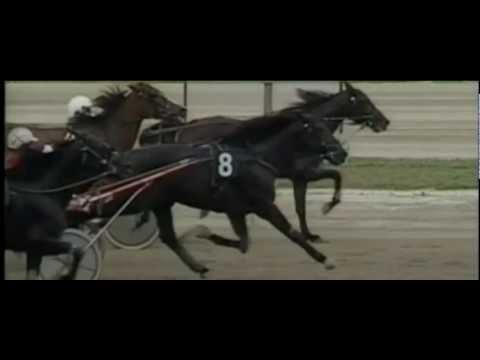 Derby Italiano Del Trotto Italie 2012_Pascia'Lest_E. Bellei